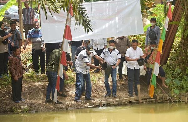 Bupati Sintang Tebar 2 Ribu Bibit Ikan Di Binjai Hulu