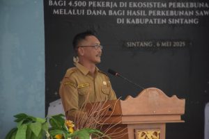 Pemkab Sintang Bantu Bayar Iuran BPJS Ketenagakerjaan Selama 1 Tahun Dengan DBH Sawit