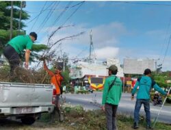 Petugas DLH Sintang Lakukan Pemangkasan di Simpang Lima