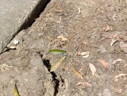 Waspada Longsor Mengintai Pemukiman Tepian Sungai, BPBD Sintang Himbau Warga Siaga.